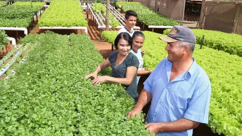Câmara aprova compra de alimentos de pequenos agricultores