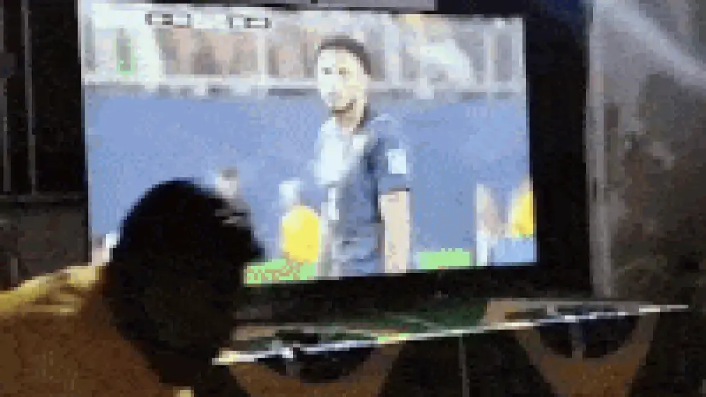 Família vê estreia de Éderson em Copa como conquista do título