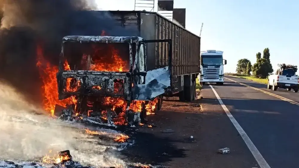 Incêndio em carreta solta bois na MS-395