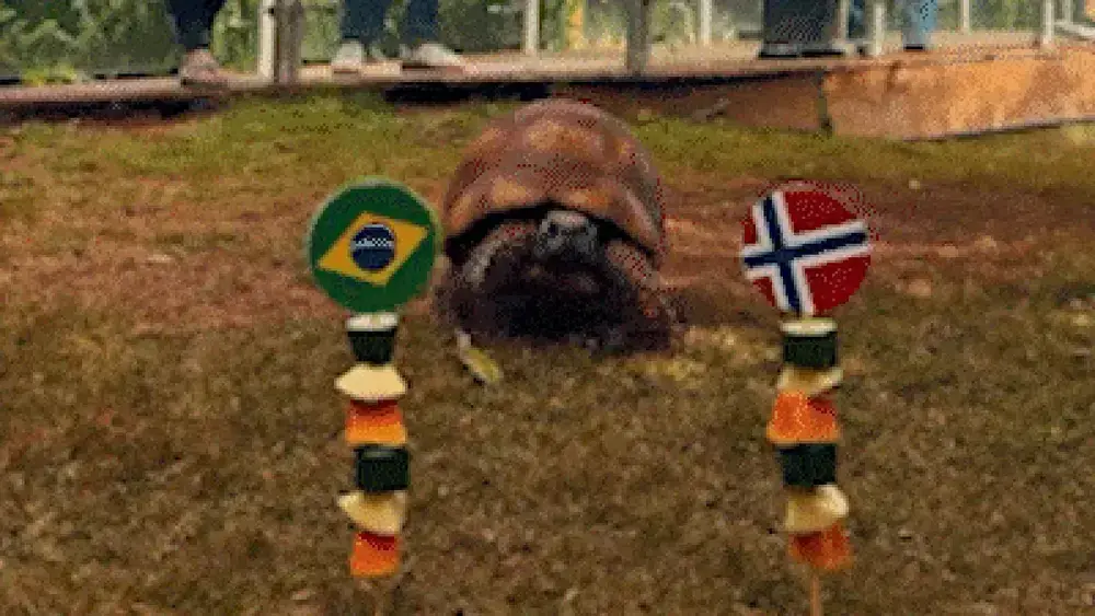 Jabuti 'acerta' vitória da Noruega e elimina Brasil da Copa 2026